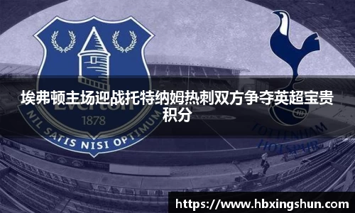 埃弗顿主场迎战托特纳姆热刺双方争夺英超宝贵积分